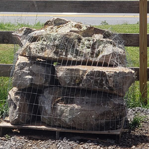 5 Man Boulders