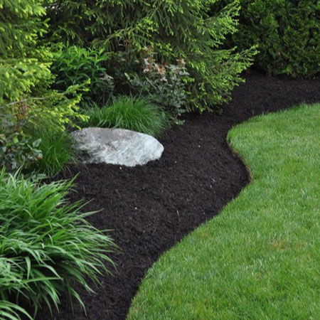 Black Mulch