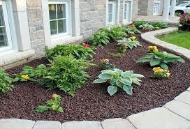 Brown Mulch