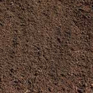 Cow Manure