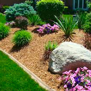 Cypress Mulch