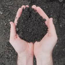 Soils and Composts